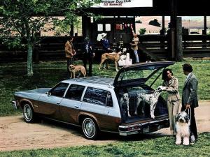 Oldsmobile Vista Cruiser 1977 года